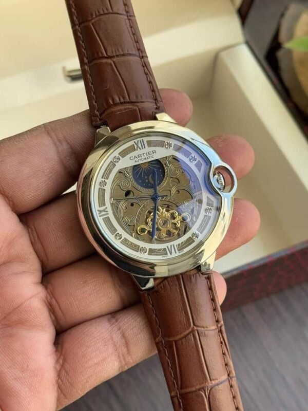 Cartier Sun moon Brown